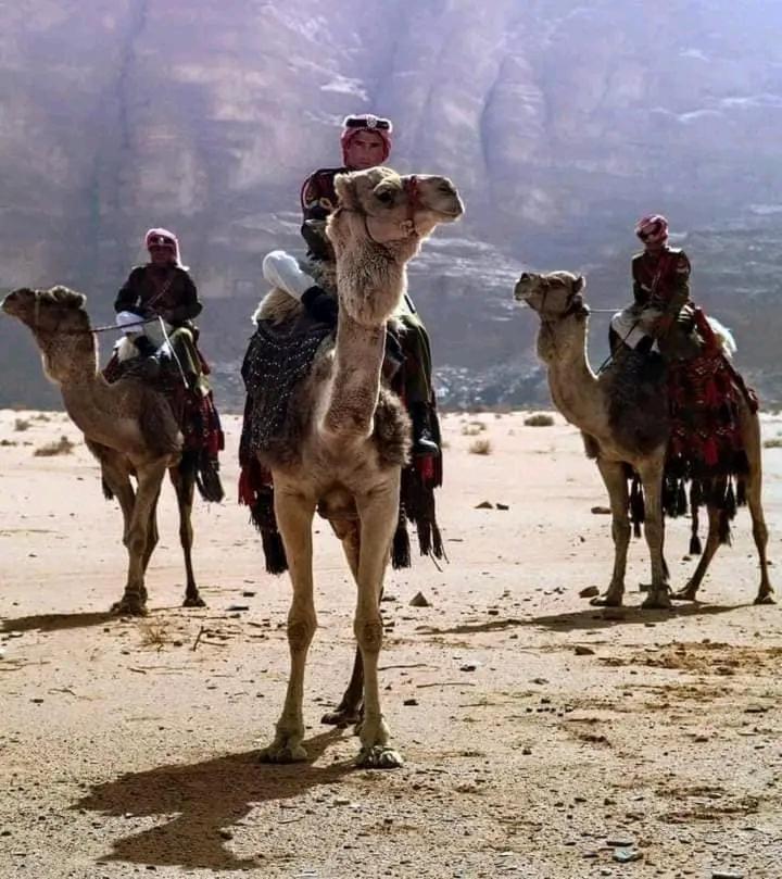 Enad Desert Camp Wadi Rum Extérieur photo